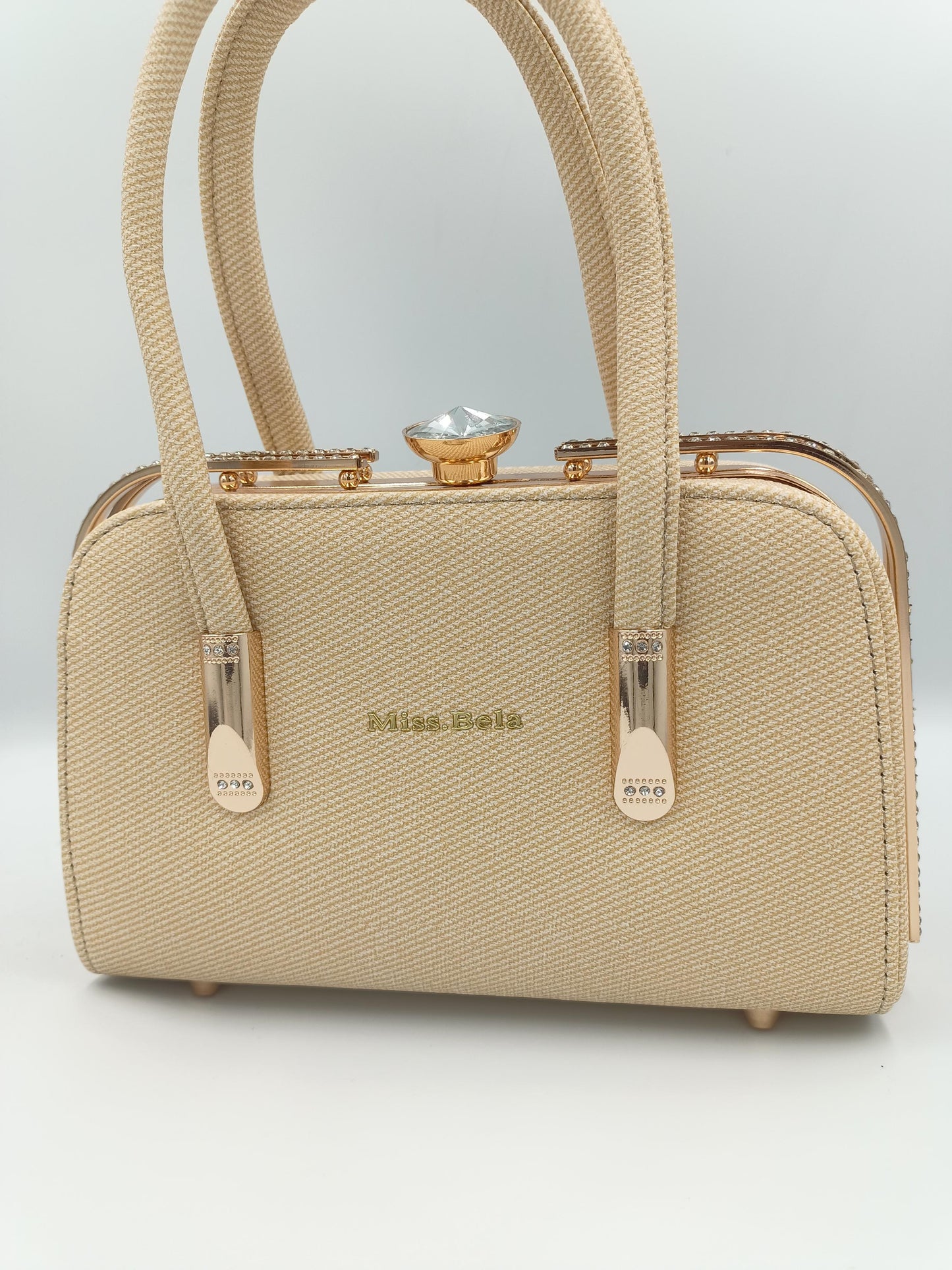 sac élégant